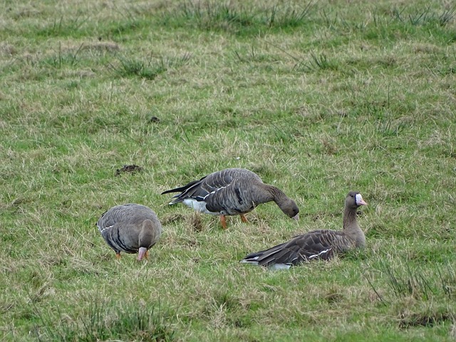 比赛初期 比赛初期