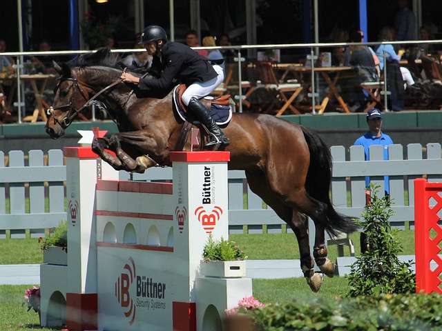 恢复体力 恢复体力