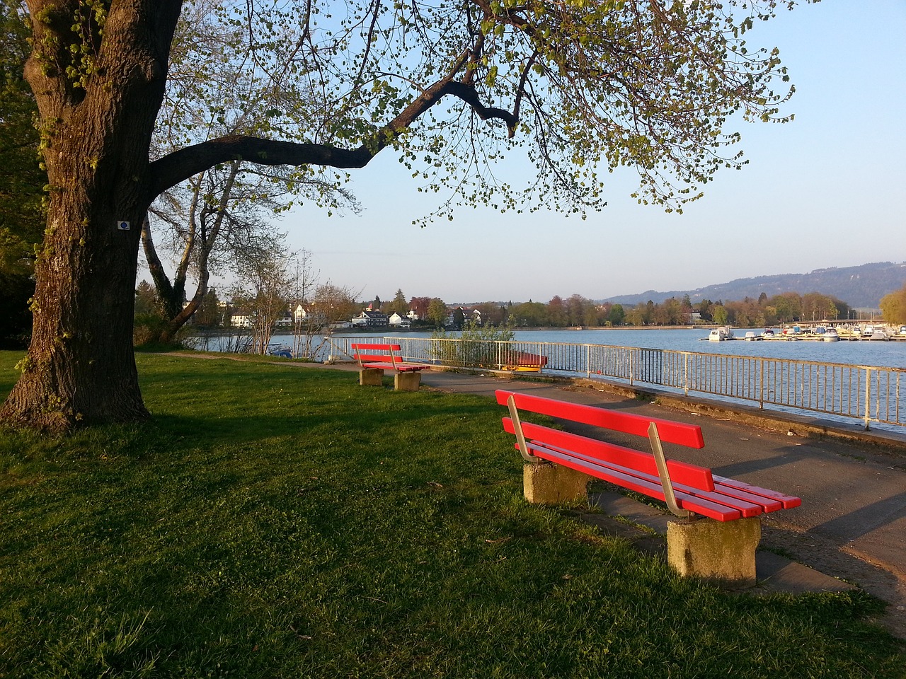 俱乐部与球 俱乐部与球