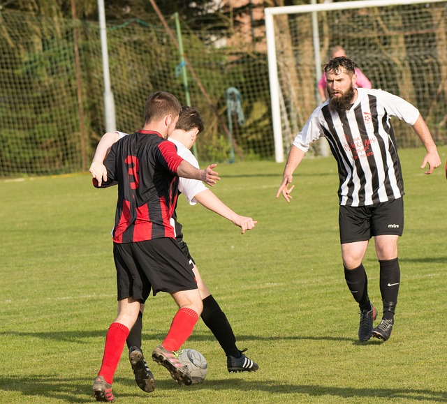 接力跑活动 接力跑活动